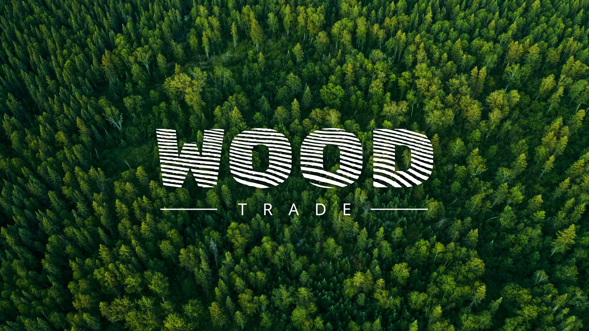 Разработка интернет-магазина компании «Wood Trade» в Слободском